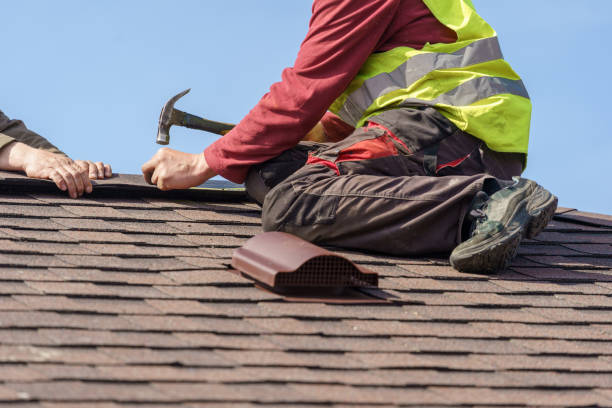 Best Metal Roofing Contractor  in Big Le, AK