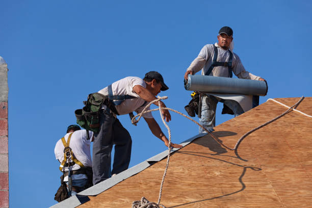 Big Lake, AK Roofing Contractor Company