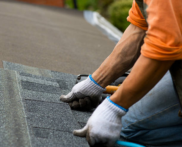 Best Roof Leak Repair  in Big Le, AK