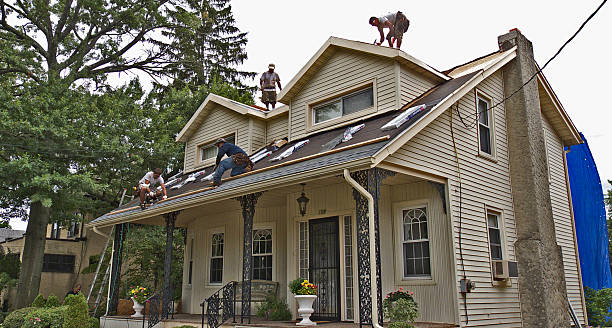 Best Storm Damage Roof Repair  in Big Le, AK