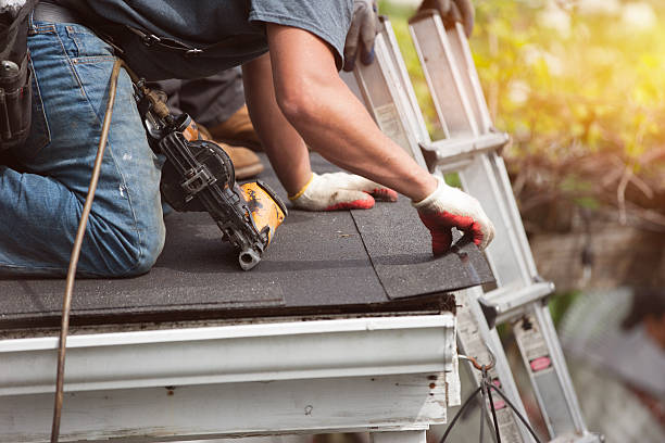 Best Metal Roofing Contractor  in Big Le, AK