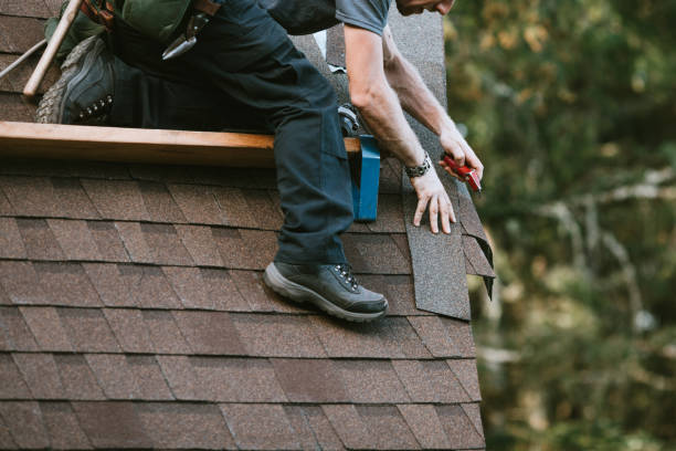 Best Local Roofing Companies  in Big Le, AK